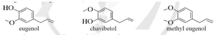 Các chất hữu cơ eugenol, chavibetol và methyl eugenol được thấy trong thành phần
