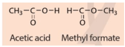 Acetic acid và methyl formate có cấu tạo hoá học như sau