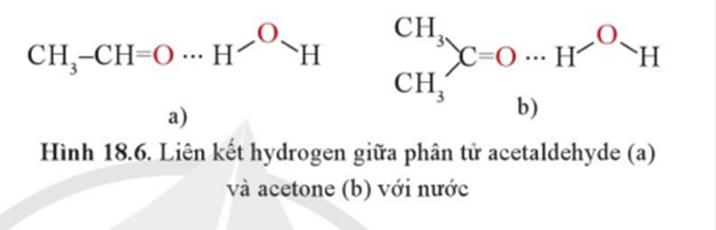 Vì sao các hợp chất carbonyl mạch ngắn như formaldehyde acetaldehyde acetone lại tan tốt trong nước
