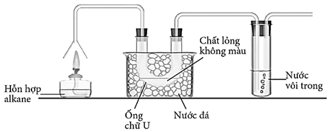 Đề kiểm tra Hóa học 11 Cánh diều Chủ đề 3 (có lời giải)