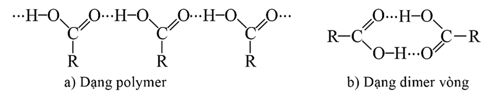 Lý thuyết Hóa học 11 Cánh diều Bài 19: Carboxylic acid
