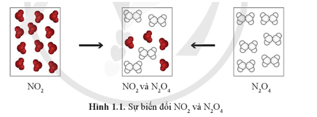 Khí NO2 (màu nâu đỏ) liên tục chuyển thành khí N2O4 (không màu)