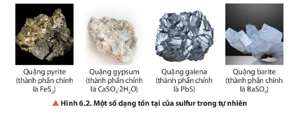 Quan sát Hình 6.1 và 6.2, hãy cho biết trong tự nhiên, sulfur tồn tại ở những dạng chất nào?