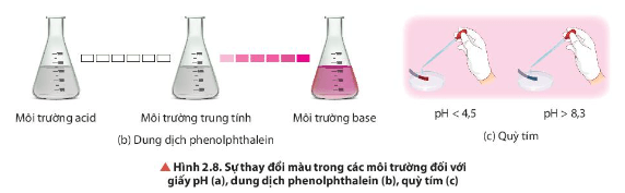 Quan sát Hình 2.8, trình bày sự chuyển đổi màu sắc của các chất chỉ thị acid – base