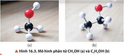 Quan sát Hình 16.3, nêu đặc điểm liên kết trong phân tử methanol, ethanol
