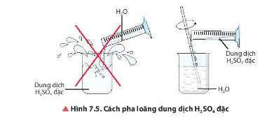 Quan sát Hình 7.5, mô tả cách pha loãng sulfuric acid