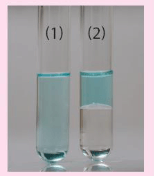 Cho các chất ethanol (C2H5OH) và dichloromethane (CH2Cl2) vào 2 ống nghiệm chứa dung dịch CuSO4 loãng