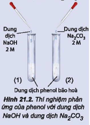 Nghiên cứu phản ứng của phenol với dung dịch NaOH và dung dịch Na2CO3