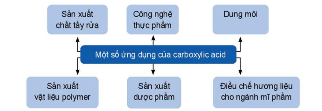 Lý thuyết Hóa học 11 Kết nối tri thức Bài 24: Carboxylic acid
