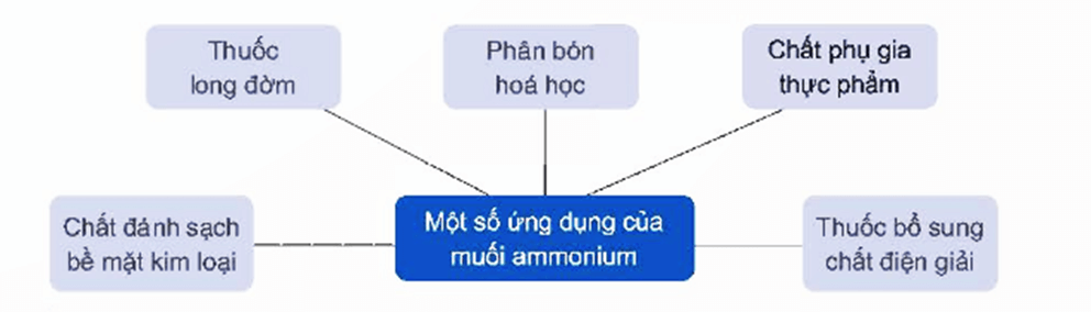 Lý thuyết Hóa học 11 Kết nối tri thức Bài 5: Ammonia. Muối ammonium
