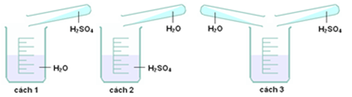 Trắc nghiệm Hóa học 11 Kết nối tri thức Bài 8 (có đáp án): Sulfuric acid và muối sulfate