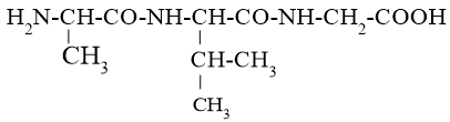 Thuỷ phân một tripeptide thu được 3 amino acid là Ala, Gly và Val