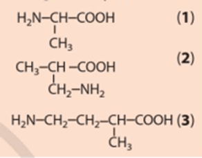 Cho biết các chất dưới đây là α, β hay γ amino acid và gọi tên các amino acid này