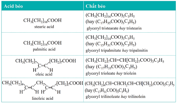 Lý thuyết Hóa học 12 Cánh diều Bài 1: Ester – Lipid