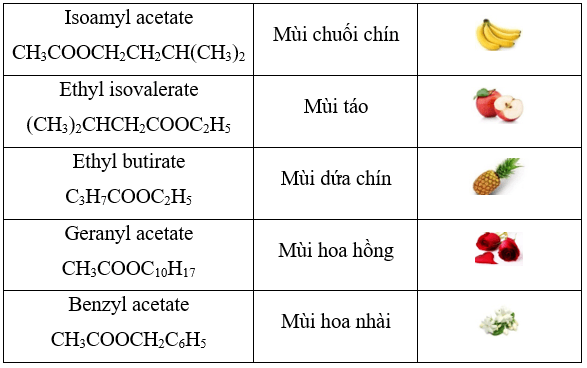 Lý thuyết Hóa học 12 Cánh diều Bài 1: Ester – Lipid