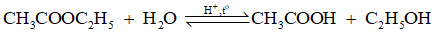 Lý thuyết Hóa học 12 Cánh diều Bài 1: Ester – Lipid