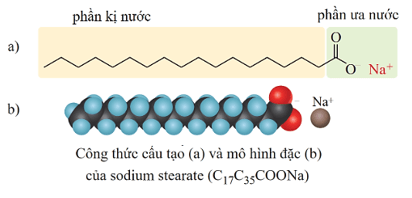 Lý thuyết Hóa học 12 Cánh diều Bài 2: Xà phòng và chất giặt rửa tổng hợp