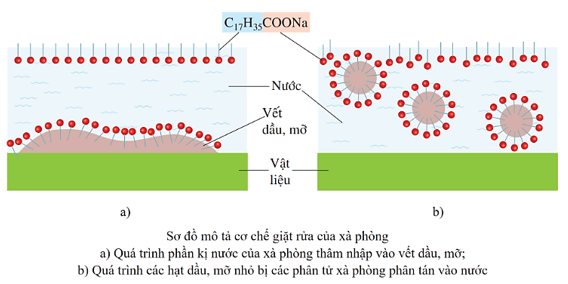 Lý thuyết Hóa học 12 Cánh diều Bài 2: Xà phòng và chất giặt rửa tổng hợp