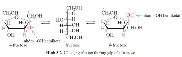 Lý thuyết Hóa học 12 Cánh diều Bài 3: Giới thiệu về carbohydrate