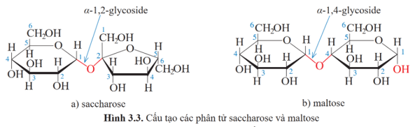 Lý thuyết Hóa học 12 Cánh diều Bài 3: Giới thiệu về carbohydrate