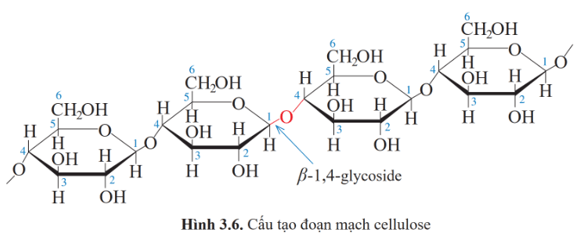 Lý thuyết Hóa học 12 Cánh diều Bài 3: Giới thiệu về carbohydrate