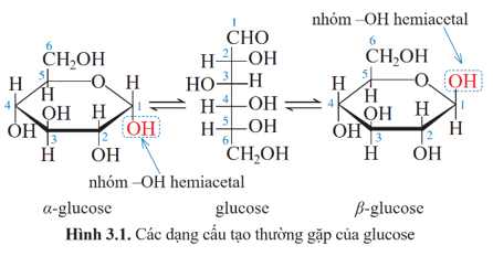 Lý thuyết Hóa học 12 Cánh diều Bài 3: Giới thiệu về carbohydrate