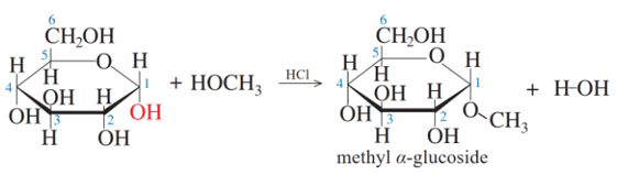 Lý thuyết Hóa học 12 Cánh diều Bài 4: Tính chất hoá học của carbohydrate