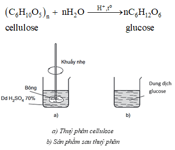 Lý thuyết Hóa học 12 Cánh diều Bài 4: Tính chất hoá học của carbohydrate