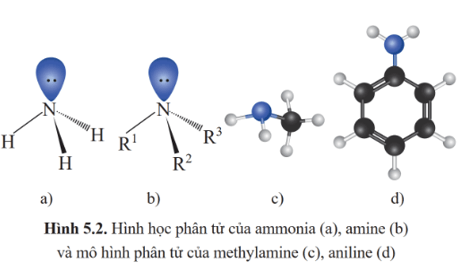 Lý thuyết Hóa học 12 Cánh diều Bài 5: Amine