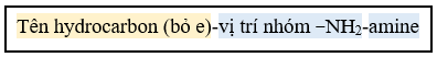 Lý thuyết Hóa học 12 Cánh diều Bài 5: Amine