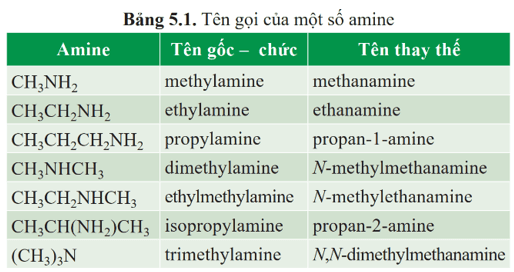 Lý thuyết Hóa học 12 Cánh diều Bài 5: Amine