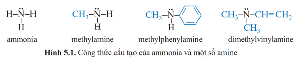 Lý thuyết Hóa học 12 Cánh diều Bài 5: Amine