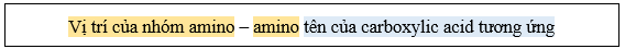 Lý thuyết Hóa học 12 Cánh diều Bài 6: Amino acid