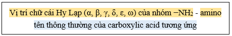 Lý thuyết Hóa học 12 Cánh diều Bài 6: Amino acid