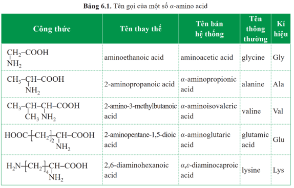 Lý thuyết Hóa học 12 Cánh diều Bài 6: Amino acid