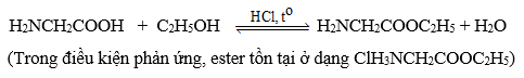 Lý thuyết Hóa học 12 Cánh diều Bài 6: Amino acid