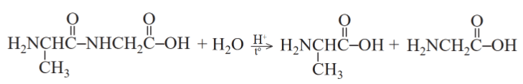 Lý thuyết Hóa học 12 Cánh diều Bài 7: Peptide, protein và enzyme