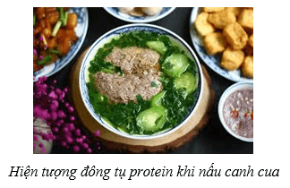 Lý thuyết Hóa học 12 Cánh diều Bài 7: Peptide, protein và enzyme