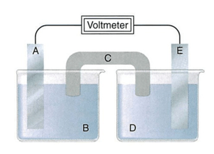 Trắc nghiệm Hóa học 12 Cánh diều Bài 8 (có đáp án): Đại cương về polymer