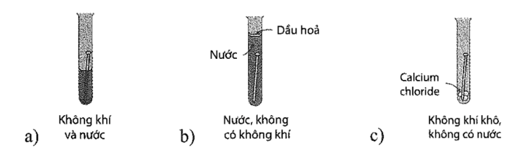 Trắc nghiệm Hóa học 12 Cánh diều Bài 16 (có đáp án): Hợp kim – Sự ăn mòn kim loại