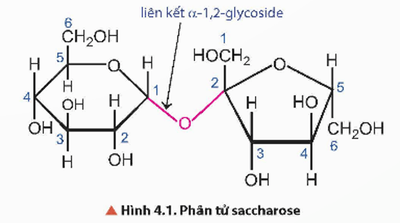 Carbohydrate nào dưới đây không có nhóm – OH hemiacetal hoặc nhóm – OH hemiketal?