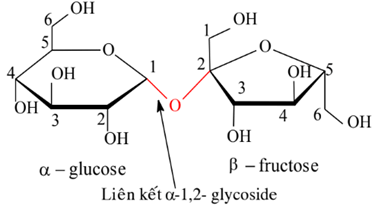 Lý thuyết Hóa học 12 Chân trời sáng tạo Bài 4: Saccharose và maltose