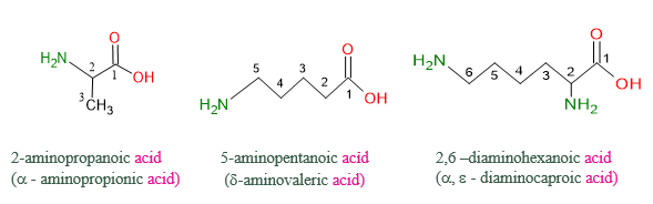 Lý thuyết Hóa học 12 Chân trời sáng tạo Bài 7: Amino acid và peptide