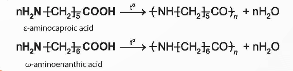 Lý thuyết Hóa học 12 Chân trời sáng tạo Bài 7: Amino acid và peptide