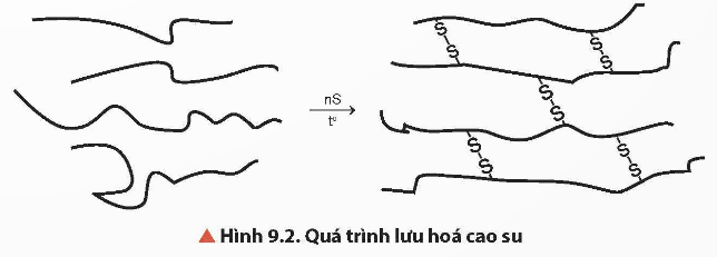 Lý thuyết Hóa học 12 Chân trời sáng tạo Bài 9: Đại cương về polymer