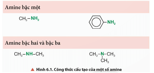 Quan sát Hình 6.1, cho biết nhóm chức đặc trưng nào có trong phân tử amine