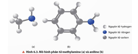 Quan sát Hình 6.2 và Hình 6.3, cho biết hình dạng phân tử của methylamine và aniline