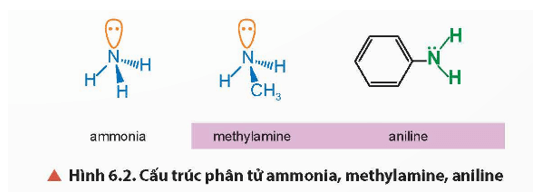 Quan sát Hình 6.2 và Hình 6.3, cho biết hình dạng phân tử của methylamine và aniline