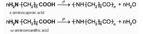 Trong Ví dụ 5, cho biết những nhóm chức nào của amino acid tham gia phản ứng trùng ngưng