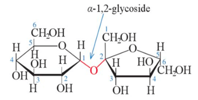 Trắc nghiệm Hóa học 12 Chân trời sáng tạo Bài 4 (có đáp án): Saccharose và maltose